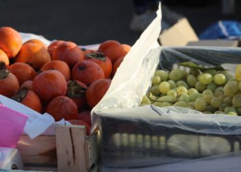 Түркістан: Ордабасы ауданына 5 млрд. теңгеден астам инвестиция тартылған