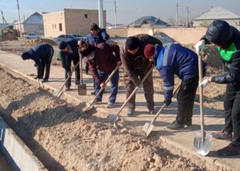 Ордабасы ауданы Түркістан қаласын көгалдандыруға үлес қосуда