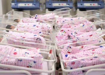 ТҮРКІСТАН ОБЛЫСЫНДА АЙЫНА 6000 –ҒА ЖУЫҚ СӘБИ ДҮНИЕГЕ КЕЛЕДІ