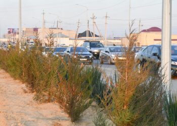 ТҮРКІСТАНДЫ АБАТТАНДЫРУҒА АУДАНДАР КӨМЕКТЕСУДЕ