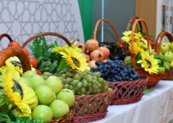 Ауыл шаруашылығының жалпы өнім көлемі 720 млрд. теңгені құрайды