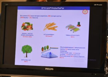 Түркістан: Келесте 1 млрд. теңгеге жуық қаржыға ірі 3 жоба іске асырылады