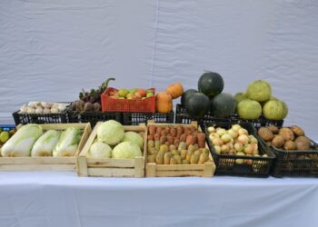 Ауыл шаруашылығын әртараптандыру – бәсекелестіктің басты шарты