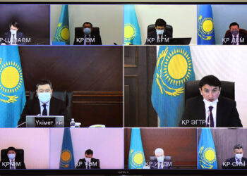 Қазақстанда ағаштарды заңсыз кескендерге жаза күшейтіледі