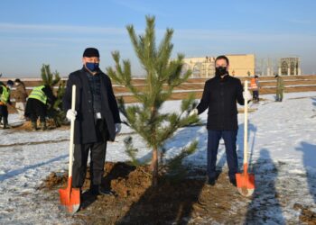 МЕРЕКЕ ҚАРСАҢЫНДА 500 ТҮП АҒАШ ОТЫРҒЫЗЫЛДЫ