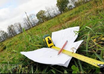 Сарыағаш ауданында 250 гектардан астам жер мемлекет қорына қайтарылды