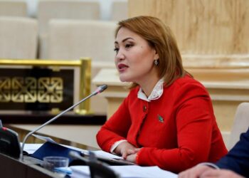 Сенатта солтүстік өңірлерге қоныс аударушылардың мәселесі көтерілді