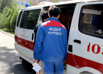 Елімізде өткен тәулікте пневмониядан 3 адам көз жұмды