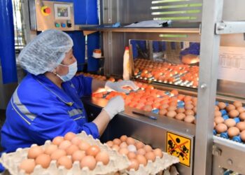 МЕМЛЕКЕТТІК ҚОЛДАУДЫҢ АРҚАСЫНДА АУЫЛШАРУАШЫЛЫҚ ӨНІМДЕРІНІҢ КӨЛЕМІ АРТҚАН