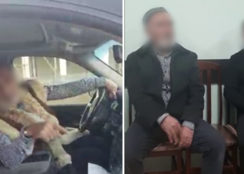 ЖЕЛІНІ ШУЛАТҚАН ЕГДЕ ЖАСТАҒЫ ЕР АЗАМАТ ЖАУАПКЕРШІЛІККЕ ТАРТЫЛДЫ