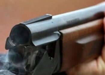 Қаруы барлар – қатаң бақылауда