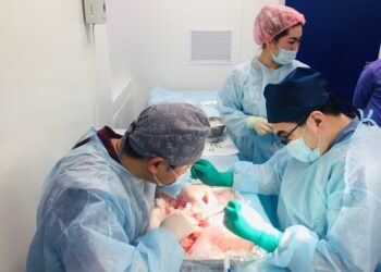 Шымкентте 23 шетелдік ота жасатты