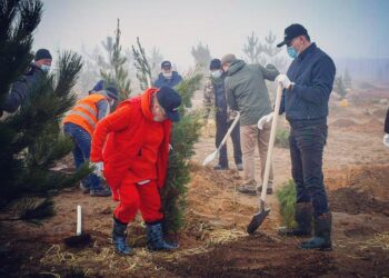 Қала тазалығы – баршаға ортақ