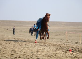 Ұлттық спорт түрлерінен Түркістан облысының чемпионаты өтті