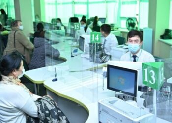 Созақ ауданында цифрлық форматта көрсетілетін мемлекеттік қызмет саны артты