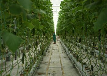 Сайрам ауданының өңірлік өнім көлемі 158 млрд теңгеден асқан