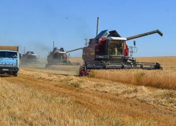 Түркістан облысында ауыл шаруашылығы өнімін өндіруде Қазығұрт ауданы көш басында