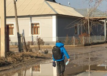  Түркістандықтардың батпақтан көзі қашан ашылады?