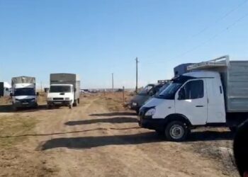 Сарыағаш  ауданында 150-ге жуық адам жиналған көкпар анықталды