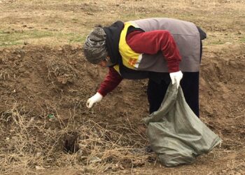 Жалпықалалық сенбілік өтті