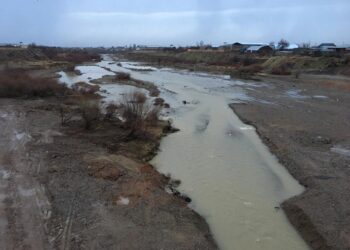Шымкентте су қоймаларына күнделікті мониторинг жүргізілуде