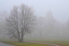 Түркістан облыстарының кей жерлерінде тұман түсуі мүмкін