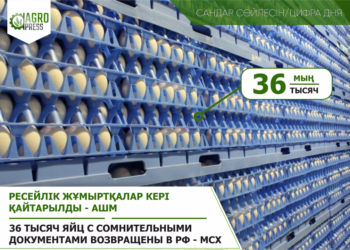 Ресейлік жұмыртқалар кері қайтарылды — АШМ