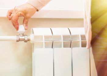 ШЫМКЕНТТЕ ЖЫЛЫТУ МАУСЫМЫ 5-ШІ СӘУІРГЕ ДЕЙІН ҰЗАРТЫЛДЫ