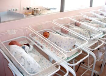 ТҮРКІСТАН: ЖЫЛ БАСЫНАН БЕРІ ЕКІНШІ ҮШЕМ ДҮНИЕГЕ КЕЛДІ