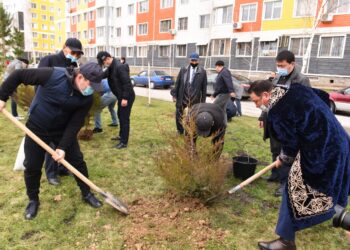 Шымкент халқы Ұлыстың ұлы күнінде көшет екті