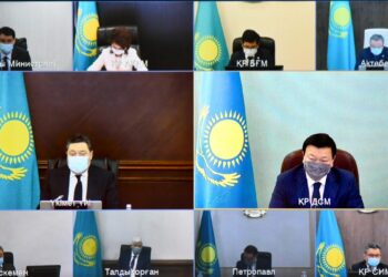 Үкімет медициналық-санитариялық алғашқы көмекті дамыту шараларын қарады