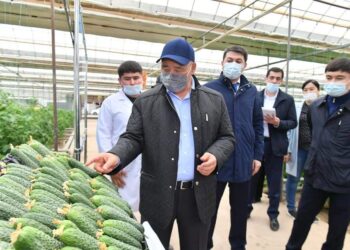 Ордабасы ауданында сауықтыру туризмі дамиды