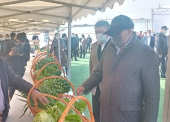 САРЫАҒАШ АУДАНЫНДА «БІР АЛҚАПТАН 2-3 ӨНІМ АЛУДЫҢ ТИІМДІЛІГІ» тақырыбында облыстық семинар өтті