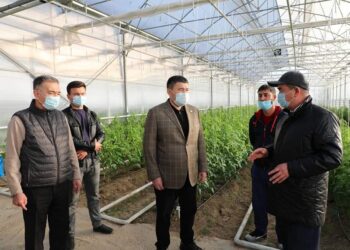 Сарыағашта теңдесі жоқ тәжірибе станциясы салынуда