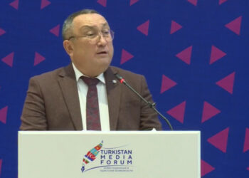 «Туркестану 3000 лет». Казахстанский академик сделал сенсационное заявление