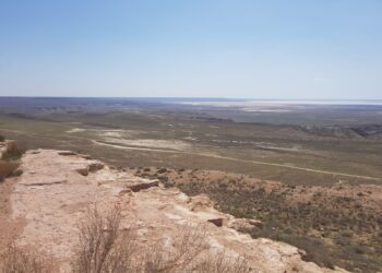 Қазақстандықтарға қандай жер телімі тегін беріледі?