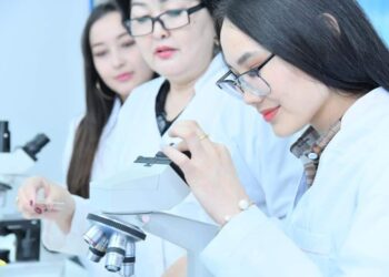 Шымкенттіктер 30 мамандық бойынша тегін кәсіптік білім ала алады