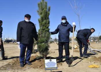 Түркістанда 30 отбасыға қайырымдылық жасалды