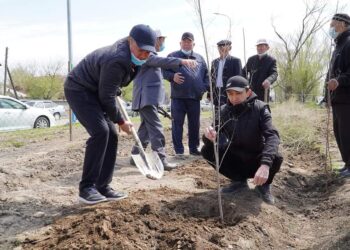 ТӘУЕЛСІЗДІКТІҢ 30 ЖЫЛДЫҒЫНА — 30 МЛН АҒАШ