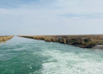 ЖАЙЫЛЫМДАРДЫ 100% СУМЕН ҚАМТИТЫН ЖОБА ЖҮЗЕГЕ АСЫРЫЛЫП ЖАТЫР