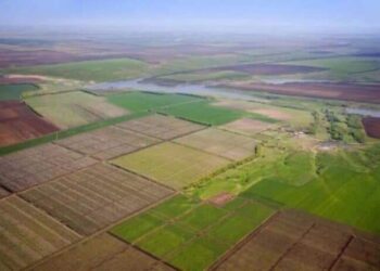 САРЫАҒАШ АУДАНЫНДА 766 ГЕКТАР ЖЕР МЕМЛЕКЕТ ҚОРЫНА ҚАЙТАРЫЛДЫ