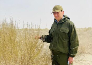 АРАЛ ТЕҢІЗІНІҢ ҚҰРҒАҒАН ТАБАНЫНДА СЕКСЕУІЛ ОТЫРҒЫЗУ КӨЛЕМІ АРТАДЫ