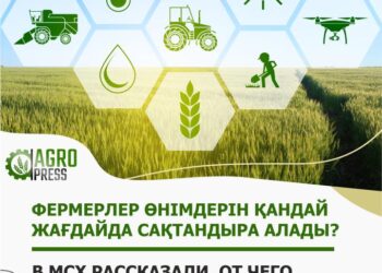 ФЕРМЕРЛЕР ӨНІМДЕРІН ҚАНДАЙ ЖАҒДАЙДА САҚТАНДЫРА АЛАДЫ?