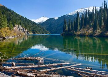 ЖАҢА ЗАҢ МЫҢ ЖОБАНЫ ІСКЕ АСЫРУҒА МҮМКІНДІК БЕРЕДІ