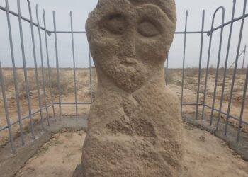 СЕНСАЦИЯ: ШАРДАРАДАН БАЛБАЛ ТАС ТАБЫЛДЫ