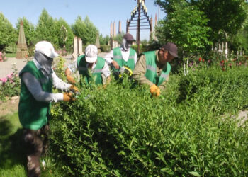 КӨГАЛДАНДЫРУ ЖҰМЫСТАРЫ ҚАРҚЫНДЫ