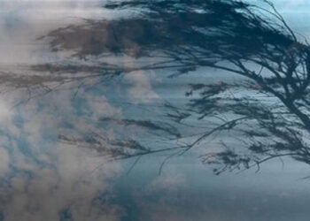 ШЫМКЕНТ: ДАУЫЛДЫ ЕСКЕРТУ