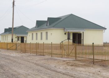 МАҚТААРАЛДА 50 ОТБАСЫ БАСПАНАЛЫ БОЛДЫ