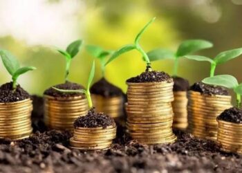 МЕМЛЕКЕТ ФЕРМЕРЛЕРДІҢ ЕКІНШІ ДЕҢГЕЙЛІ БАНКТЕРДЕН АЛАТЫН НЕСИЕСІН КЕПІЛДЕНДІРЕДІ