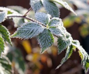 ҚАЗАҚСТАННЫҢ БІРНЕШЕ ӨҢІРІНДЕ АЯЗ БЕН ҚҰМДЫ ДАУЫЛ БОЛАДЫ